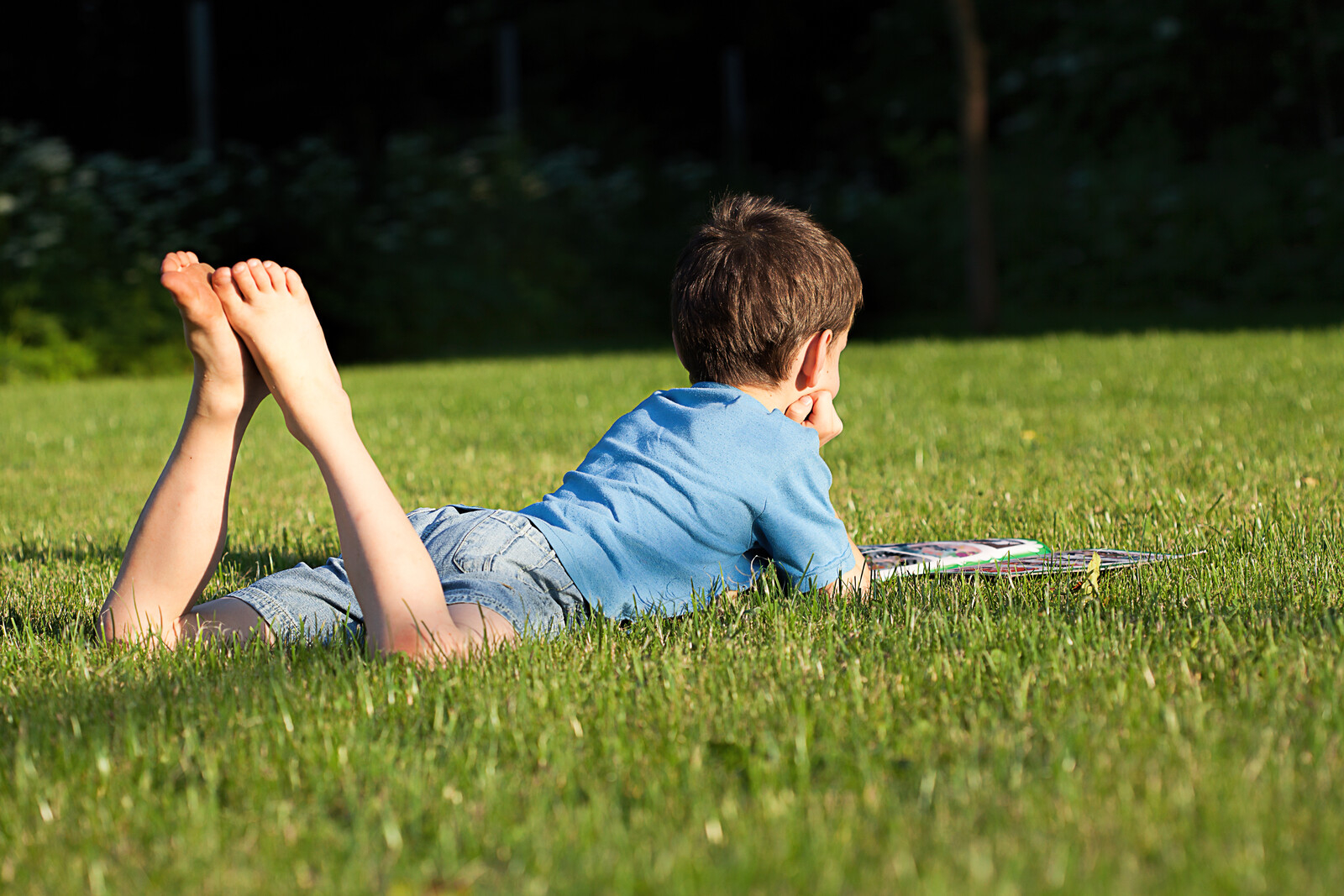 Boy reading book in grass